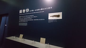 正倉院 THE SHOW ―感じる。いま、ここにある奇跡―　@上野の森美術館に投稿された画像（2025/10/20）