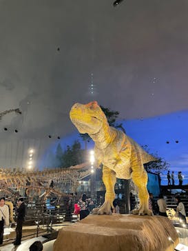 福井県立恐竜博物館に投稿された画像（2025/10/20）