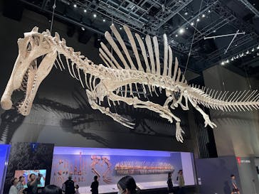 福井県立恐竜博物館に投稿された画像（2025/10/20）