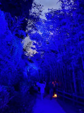 ニジゲンノモリに投稿された画像（2025/10/21）