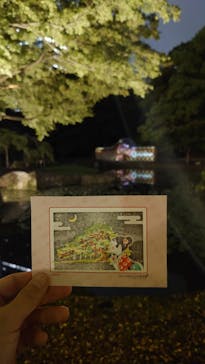 夜間特別開園 秋の夜長の小石川後楽園2025に投稿された画像（2025/10/21）