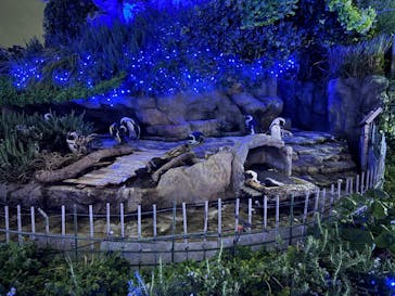 サンシャイン水族館に投稿された画像（2025/10/21）