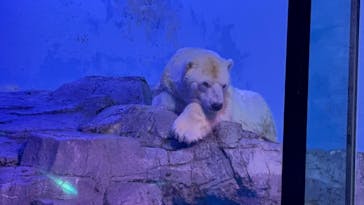 横浜・八景島シーパラダイス　プレジャーランドに投稿された画像（2025/10/21）