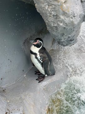 南知多ビーチランド＆南知多おもちゃ王国に投稿された画像（2025/10/21）