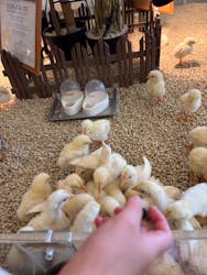 Moff アニマル カフェ イーアス 高尾店に投稿された画像（2025/10/21）