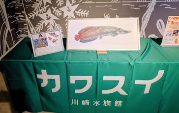 カワスイ 川崎⽔族館に投稿された画像（2025/10/21）