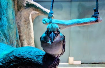 カワスイ 川崎⽔族館に投稿された画像（2025/10/21）