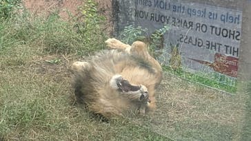 名古屋市東山動植物園に投稿された画像（2025/10/21）