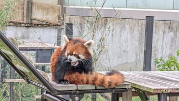 名古屋市東山動植物園に投稿された画像（2025/10/21）