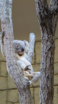 名古屋市東山動植物園に投稿された画像（2025/10/21）