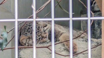 名古屋市東山動植物園に投稿された画像（2025/10/21）