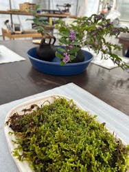 倉敷グリーンファームに投稿された画像（2025/10/21）