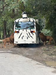 群馬サファリパークに投稿された画像（2025/10/21）