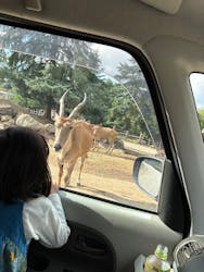 群馬サファリパークに投稿された画像（2025/10/21）