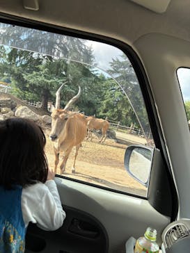 群馬サファリパークに投稿された画像（2025/10/21）