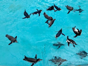 葛西臨海水族園に投稿された画像（2025/10/21）