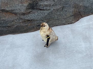 葛西臨海水族園に投稿された画像（2025/10/21）
