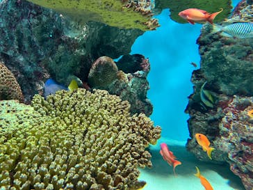 葛西臨海水族園に投稿された画像（2025/10/21）