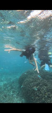 オースリーシュノーケル宮古島に投稿された画像（2025/10/21）