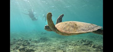 オースリーシュノーケル宮古島に投稿された画像（2025/10/21）