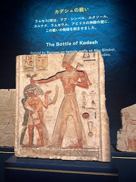 ACN ラムセス大王展 ファラオたちの黄金に投稿された画像（2025/10/21）