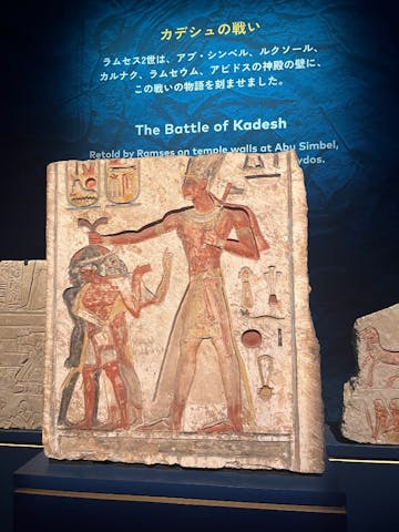 ACN ラムセス大王展 ファラオたちの黄金の口コミ ｜迫力ある展示