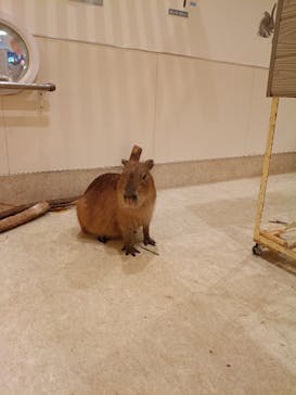 アニタッチららぽーと名古屋みなとアクルスに投稿された画像（2025/10/21）