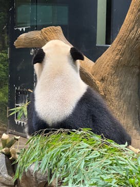 恩賜上野動物園に投稿された画像（2025/10/21）