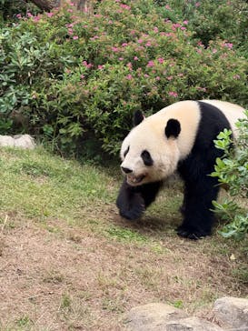 恩賜上野動物園に投稿された画像（2025/10/21）