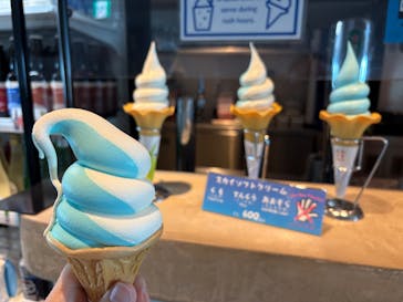 横浜ランドマークタワー 69階展望フロア スカイガーデンに投稿された画像（2025/10/21）