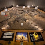 福井県立恐竜博物館に投稿された画像（2025/10/21）