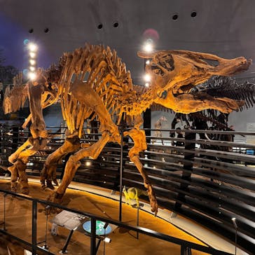 福井県立恐竜博物館に投稿された画像（2025/10/21）