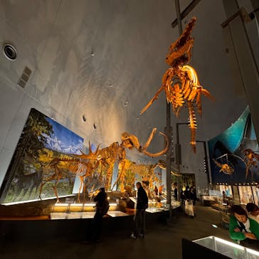 福井県立恐竜博物館に投稿された画像（2025/10/21）