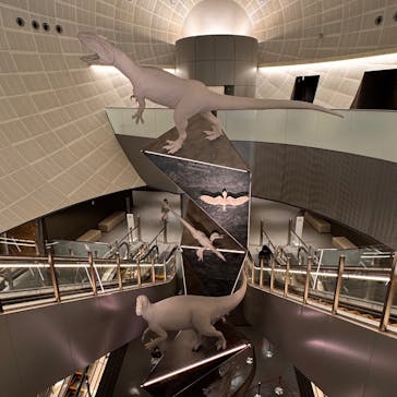 福井県立恐竜博物館に投稿された画像（2025/10/21）