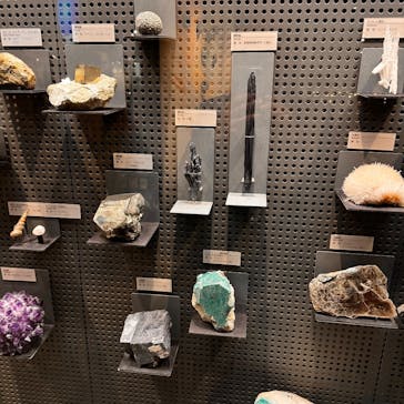 福井県立恐竜博物館に投稿された画像（2025/10/21）