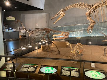 福井県立恐竜博物館に投稿された画像（2025/10/21）