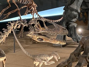 福井県立恐竜博物館に投稿された画像（2025/10/21）