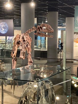 福井県立恐竜博物館に投稿された画像（2025/10/21）