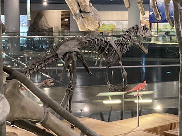 福井県立恐竜博物館に投稿された画像（2025/10/21）