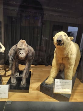 天王寺動物園に投稿された画像（2025/10/21）