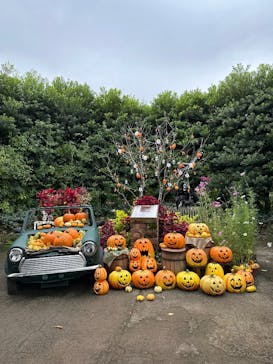 横浜イングリッシュガーデンに投稿された画像（2025/10/21）