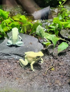 サンシャイン水族館に投稿された画像（2025/10/21）