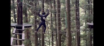 フォレストアドベンチャー・祖谷に投稿された画像（2025/10/21）