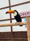 掛川花鳥園に投稿された画像（2025/10/21）