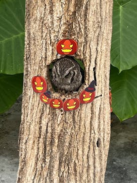 掛川花鳥園に投稿された画像（2025/10/21）