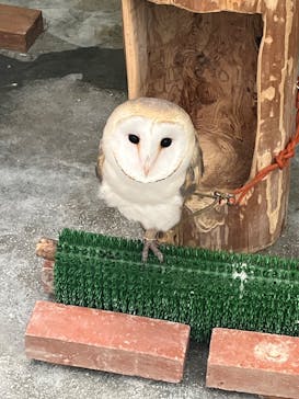 掛川花鳥園に投稿された画像（2025/10/21）