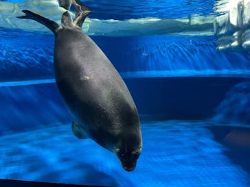 サンシャイン水族館に投稿された画像（2025/10/21）