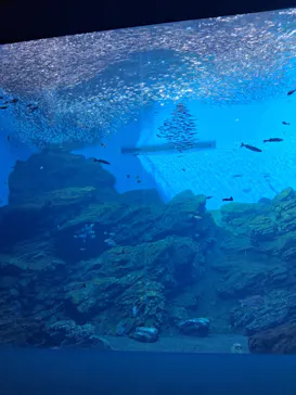 仙台うみの杜水族館に投稿された画像（2025/10/21）