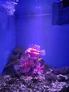 仙台うみの杜水族館に投稿された画像（2025/10/21）