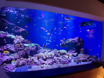 仙台うみの杜水族館に投稿された画像（2025/10/21）
